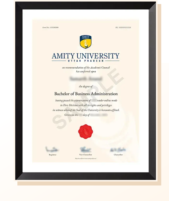 Amity Online certificate